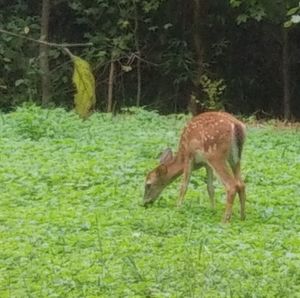 Meet your Posher, Sabrina